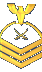 Colonel